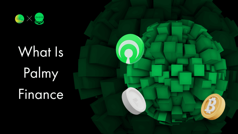 What Is Palmy Finance: An Introduction