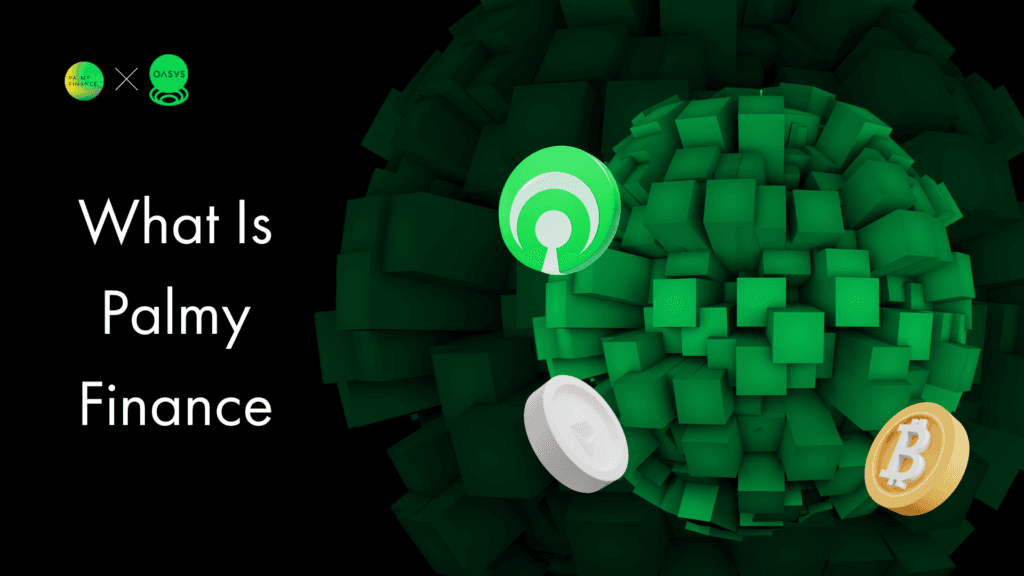 What Is Palmy Finance: An Introduction